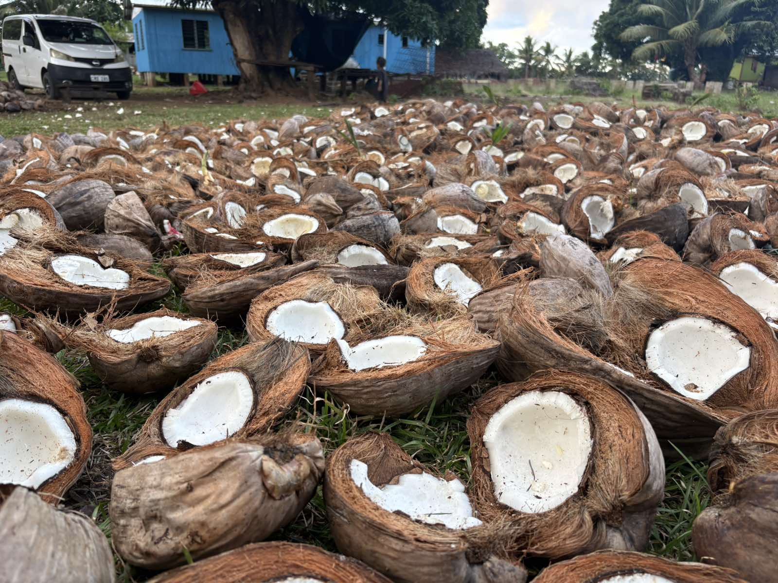 The Copra Industry of Lakeba and the Lau Group: A Legacy of Hard Work and Resilience